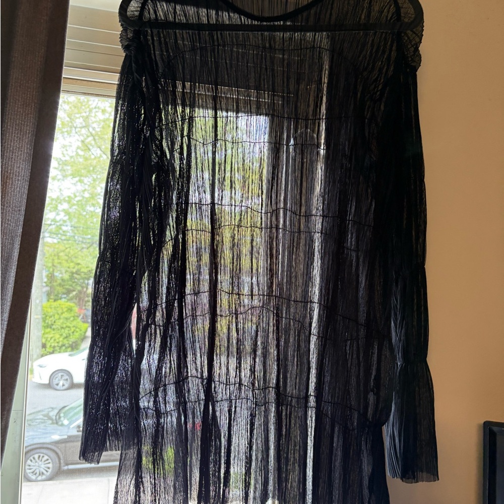 Zara Trafaluc sheer